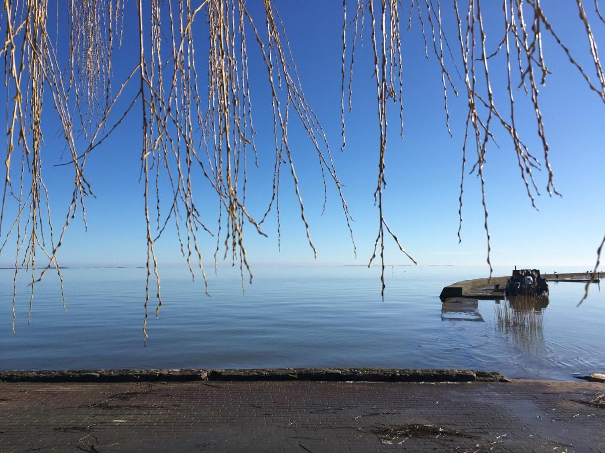 Vila Junda Neringa Bagian luar foto